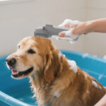 Silicone 2-in-1 Multi-Functional Pet Bath Brush - Image 2