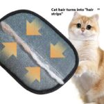 Hair Removal Pet Gloves Static Two-way Bristle Hair Cleaning Fantastic - Image 4
